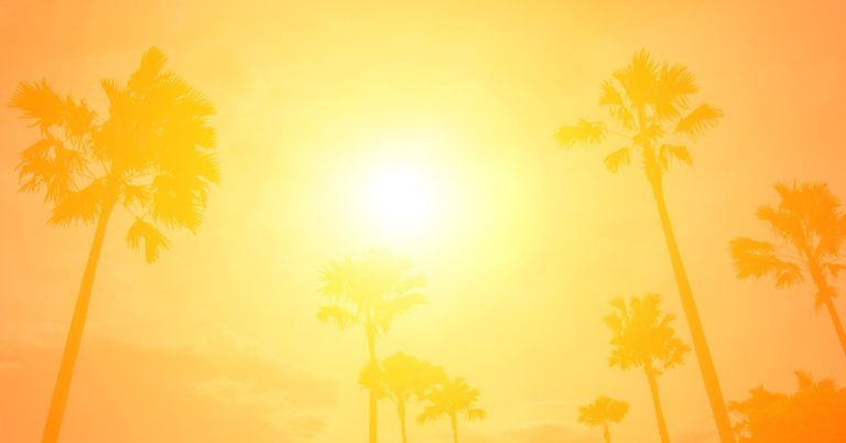 Why Hot Summers Mess up the Mind?